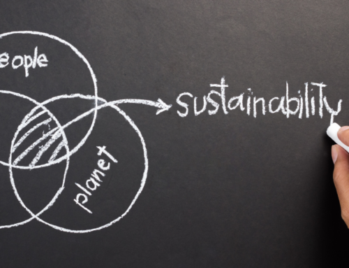 The Road To Sustainable Packaging: Turning RoadBlocks into Opportunities